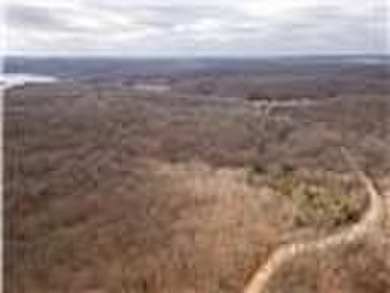 Nearly 80 acres of Lake of the Ozarks land in Gravois Mills, MO - photo 44