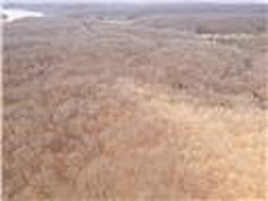 Nearly 80 acres of Lake of the Ozarks land in Gravois Mills, MO - photo 45