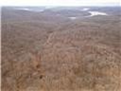 Nearly 80 acres of Lake of the Ozarks land in Gravois Mills, MO - photo 46