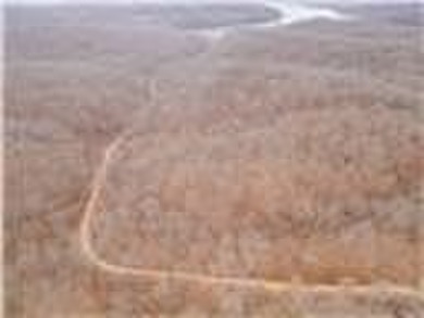 Nearly 80 acres of Lake of the Ozarks land in Gravois Mills, MO - photo 48