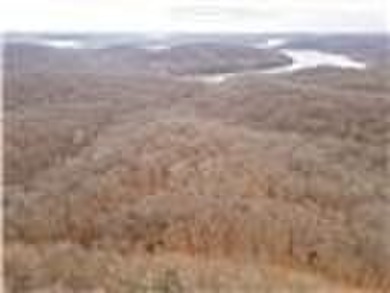 Nearly 80 acres of Lake of the Ozarks land in Gravois Mills, MO - photo 49
