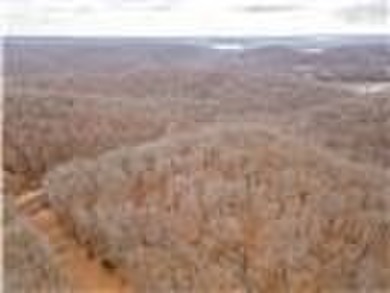 Nearly 80 acres of Lake of the Ozarks land in Gravois Mills, MO - photo 51