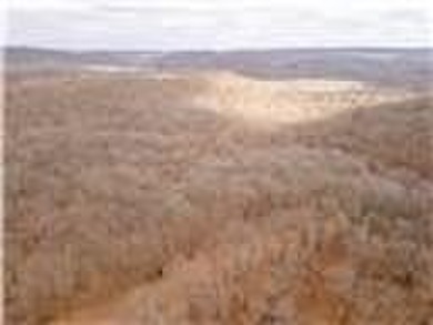Nearly 80 acres of Lake of the Ozarks land in Gravois Mills, MO - photo 52