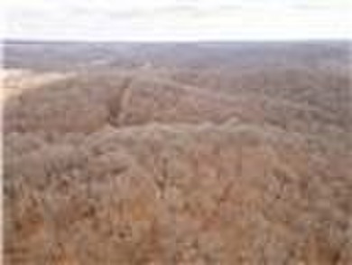 Nearly 80 acres of Lake of the Ozarks land in Gravois Mills, MO - photo 53