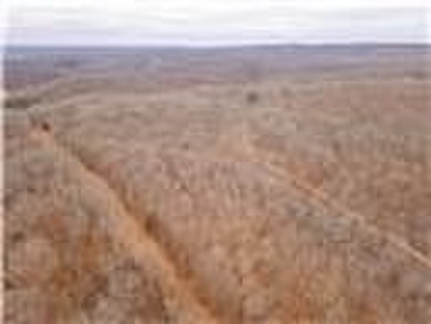 Nearly 80 acres of Lake of the Ozarks land in Gravois Mills, MO - photo 55