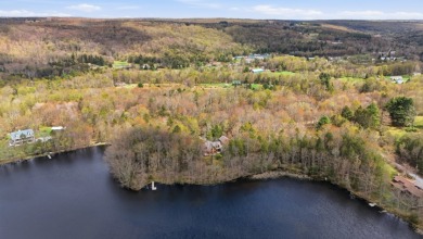 LAKEFRONT LOG HOME with 500+ feet of shoreline on 2.25 acres, NO - photo 1