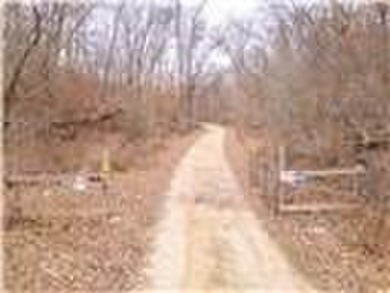 Nearly 80 acres of Lake of the Ozarks land in Gravois Mills, MO - photo 60