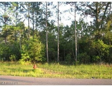Twin Lakes Lot For Sale in Diamondhead Mississippi
