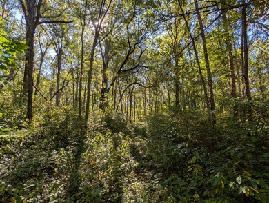 (private lake, pond, creek) Lot Sale Pending in Schneider Indiana