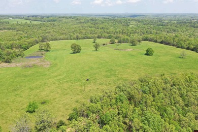 Lake Acreage For Sale in Gainesville, Missouri