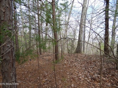 Premier Gated Community with picturesque homes. Near Morristown - photo 3