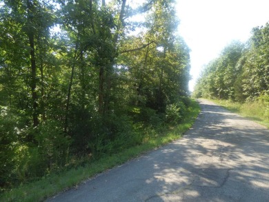 Side-by-Side Lots on Lake Omaha with Great Views - These two - photo 2