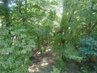 Side-by-Side Lots on Lake Omaha with Great Views - These two - photo 5