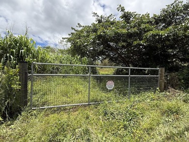 Unique opportunity awaits! Don't miss this improved 1-acre - photo 1