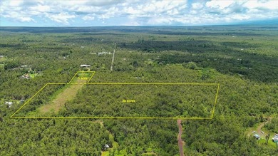 Unique opportunity awaits! Don't miss this improved 1-acre - photo 4
