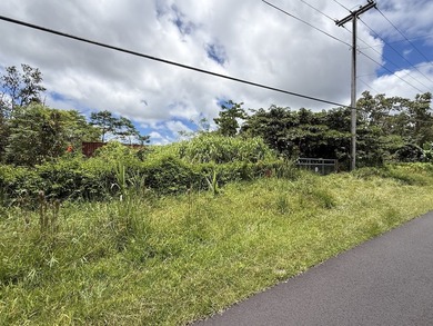Unique opportunity awaits! Don't miss this improved 1-acre - photo 5