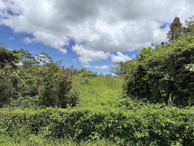 Unique opportunity awaits! Don't miss this improved 1-acre - photo 6