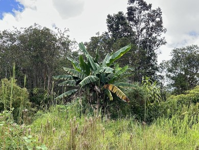 Unique opportunity awaits! Don't miss this improved 1-acre - photo 8
