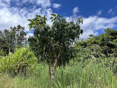 Unique opportunity awaits! Don't miss this improved 1-acre - photo 9