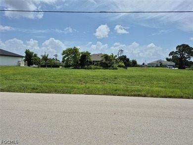 Great buildable lot in an up-and-coming neighborhood surrounded - photo 6