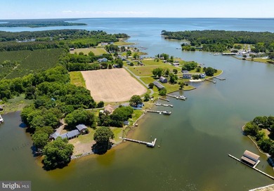 Tucked away on 1.39 private acres with approximately 530 feet of - photo 8