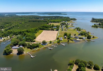 Tucked away on 1.39 private acres with approximately 530 feet of - photo 10