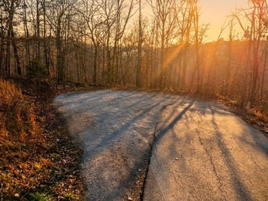 Lake Ann Lot For Sale in Bella Vista Arkansas