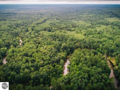 (private lake, pond, creek) Acreage For Sale in Baldwin Michigan