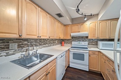Get ready to enjoy all that South Fort Myers has to offer in - photo 12