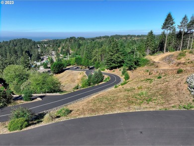 Imagine this corner lot with its beautiful views and your custom - photo 12