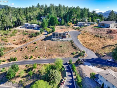 Imagine this corner lot with its beautiful views and your custom - photo 13