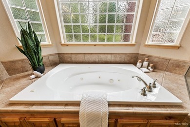 Located in the desirable Tahoe Island Park neighborhood, this - photo 29