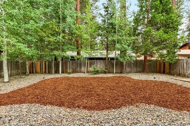 Located in the desirable Tahoe Island Park neighborhood, this - photo 49