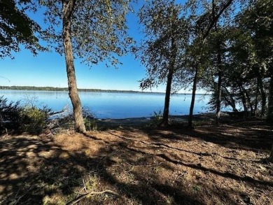 Lake Palestine Lot For Sale in Larue Texas