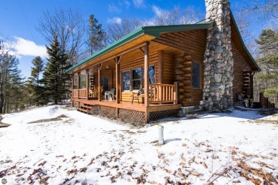 Lake Home For Sale in Honor, Michigan