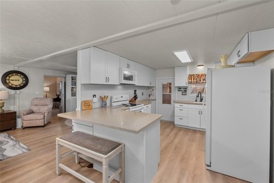 OWN THE LAND in one of Palm Harbor's most desirable 55+ - photo 11