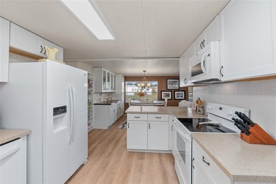 OWN THE LAND in one of Palm Harbor's most desirable 55+ - photo 17