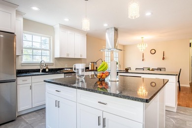 OPEN HOUSE THIS SUNDAY, MAR 29th, 2-4PM. This renovated home - photo 8