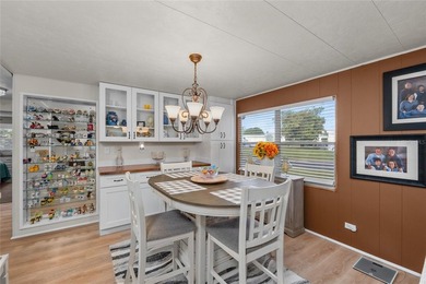 OWN THE LAND in one of Palm Harbor's most desirable 55+ - photo 38