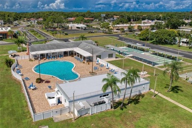 OWN THE LAND in one of Palm Harbor's most desirable 55+ - photo 41