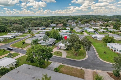 OWN THE LAND in one of Palm Harbor's most desirable 55+ - photo 44
