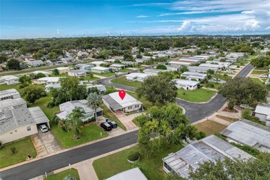 OWN THE LAND in one of Palm Harbor's most desirable 55+ - photo 45