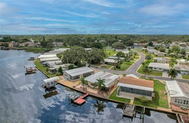 OWN THE LAND in one of Palm Harbor's most desirable 55+ - photo 50