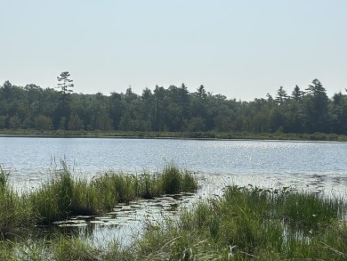 Lake Home For Sale in Skowhegan, Maine