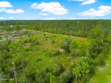 Don't miss this 1 acre lot tucked back off the main road in the - photo 11