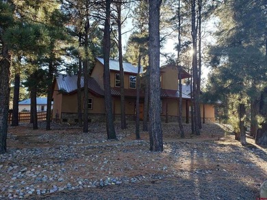 Village Lake Home For Sale in Pagosa Springs Colorado