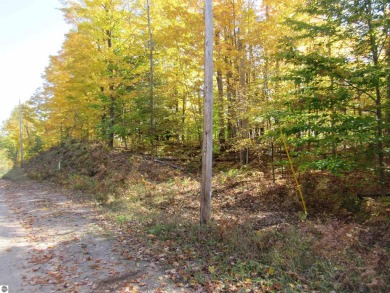(private lake, pond, creek) Lot Sale Pending in Interlochen Michigan