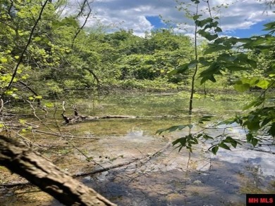 Lake Acreage For Sale in Peel, Arkansas