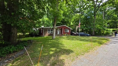 Charming Lake-Adjacent Ranch in a Private Mountain Community - photo 5