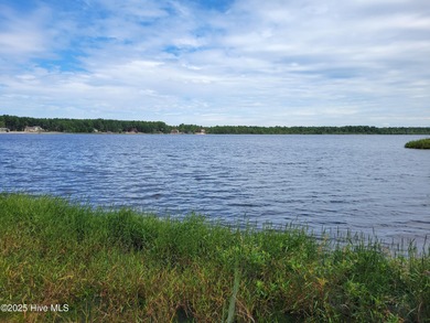 Bay Tree Lake Lot For Sale in Harrells North Carolina